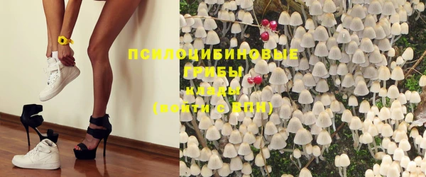 дурь Гусиноозёрск